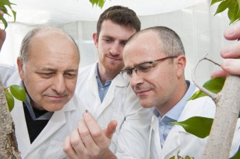 Grower News