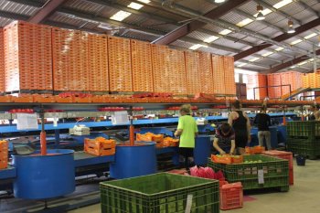Grower News