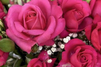 Grower News