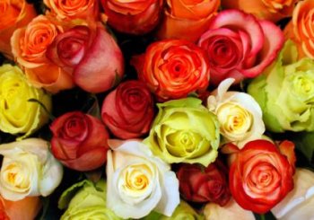 Grower News