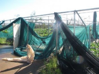 Grower News