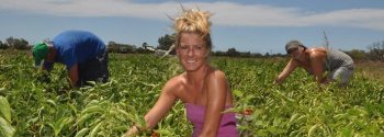 Grower News