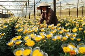 Grower News