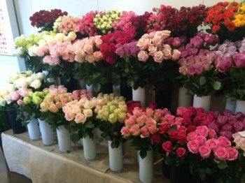 Grower News